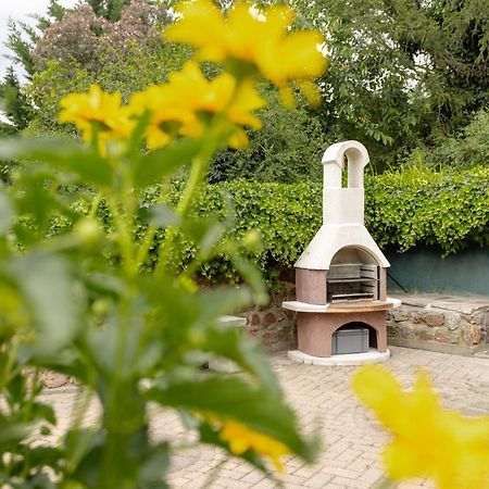 Ferienhaus Am Bergeshang Blankenburg  Bagian luar foto